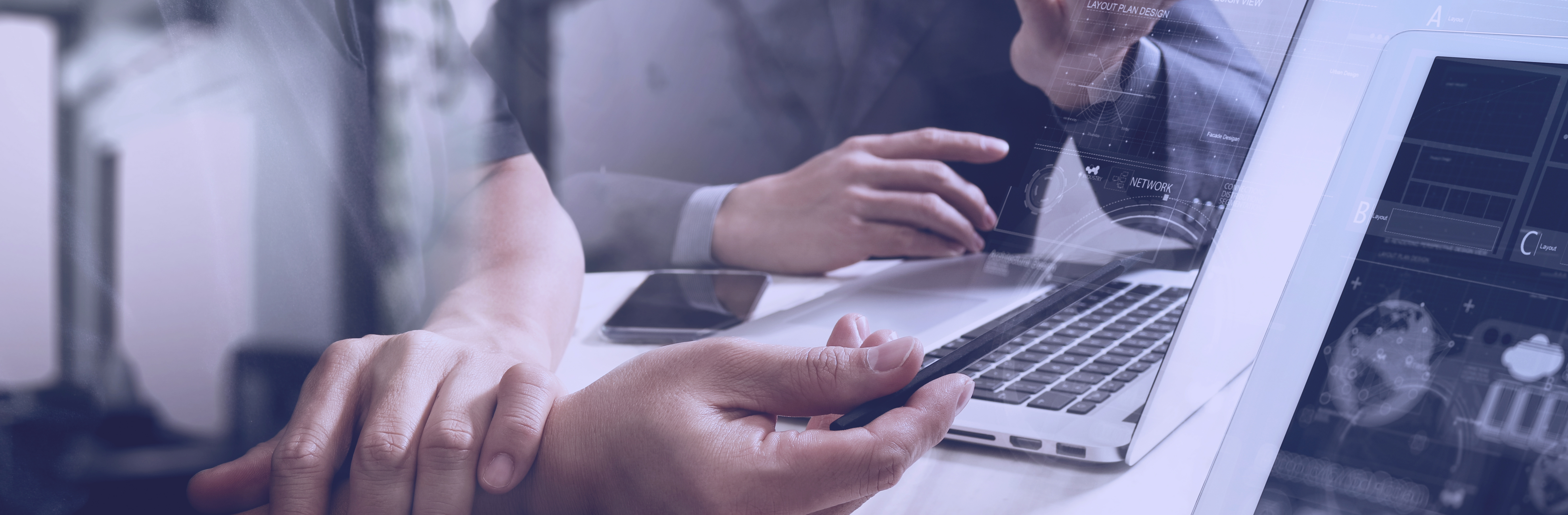 Web Consultation